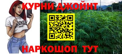гидра Славгород
