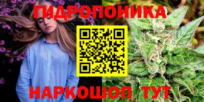 ГАЛЛЮЦИНОГЕННЫЕ ГРИБЫ Северобайкальск
