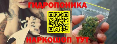 ГАЛЛЮЦИНОГЕННЫЕ ГРИБЫ Северобайкальск