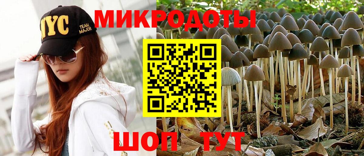 Псилоцибиновые грибы GOLDEN TEACHER Орёл