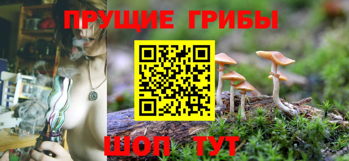 Галлюциногенные грибы Psilocybine cubensis  Вход с VPN  Орёл 